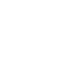 SYNTRX.DEV